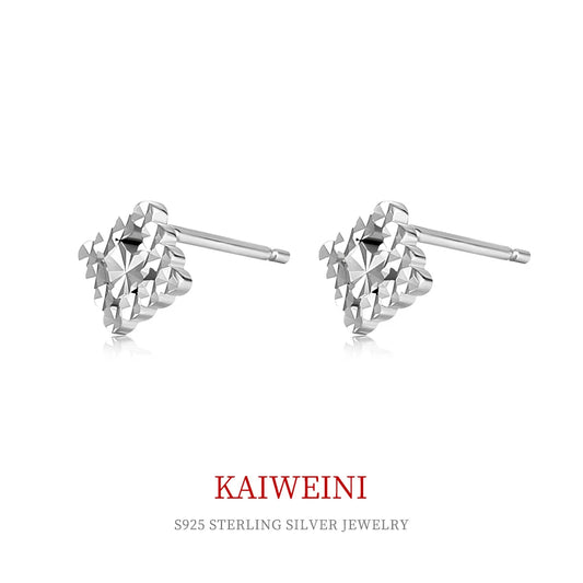 Zircon Shine Silver Studs